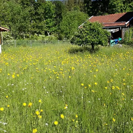 Gaestehaus Kurparkfrieden